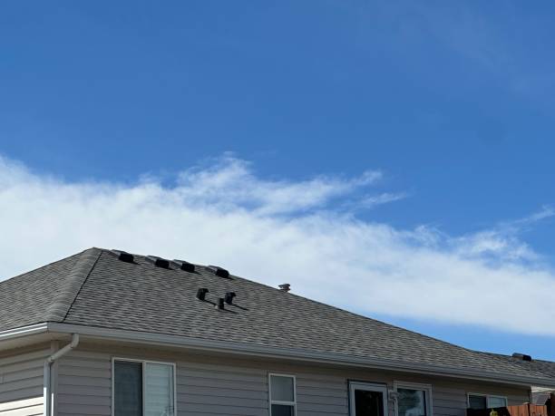 Best Steel Roofing  in Harrison, MI